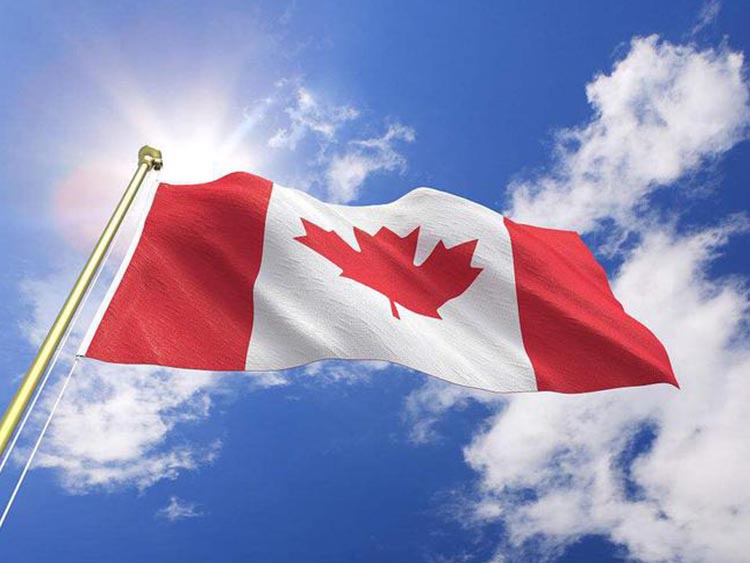 新政出台，加拿大雇主担保移民更加靠谱！