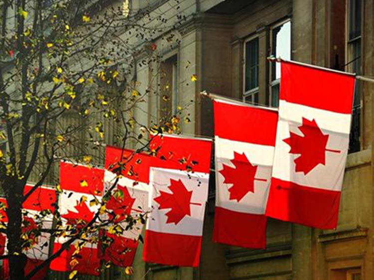 没有语言成绩可以申请加拿大移民拿到枫叶卡吗？