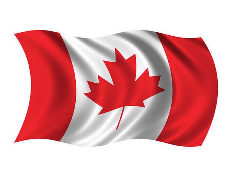 移民加拿大的养老福利有哪些？