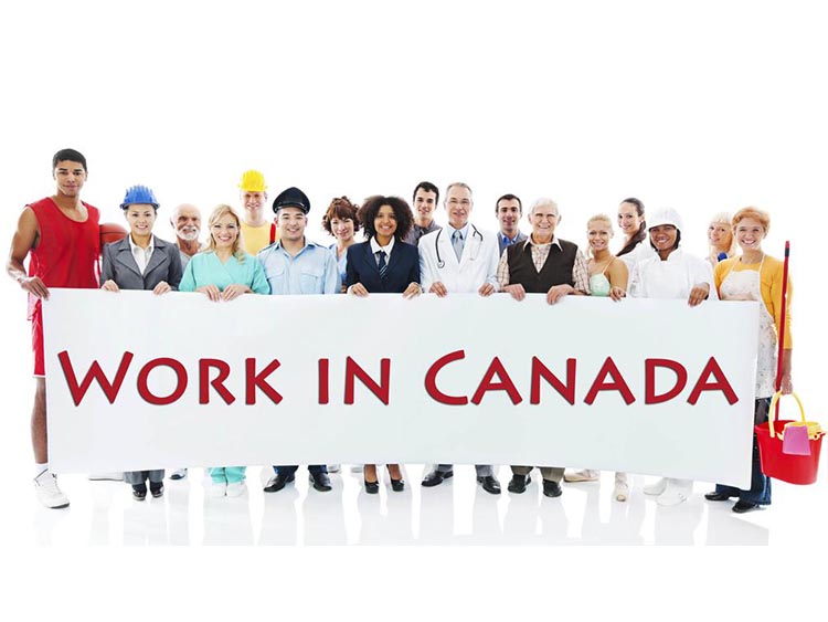 获得加拿大技术移民邀请后，还需要做什么？