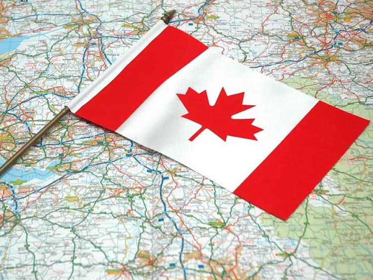 加拿大自雇移民面试难，吐血分享面试中的实用技巧！